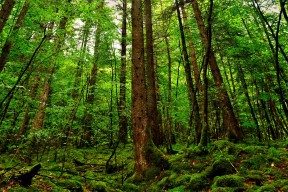 世界羽毛球公开赛：混双对抗成为高潮场次，世界羽毛球赛视频