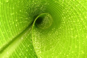 世界游泳接力技术统计平台赛事数据样例公开，2020游泳接力