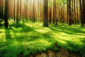 世界帆船赛事气象监测网络维护与升级预算公布，世界帆船比赛