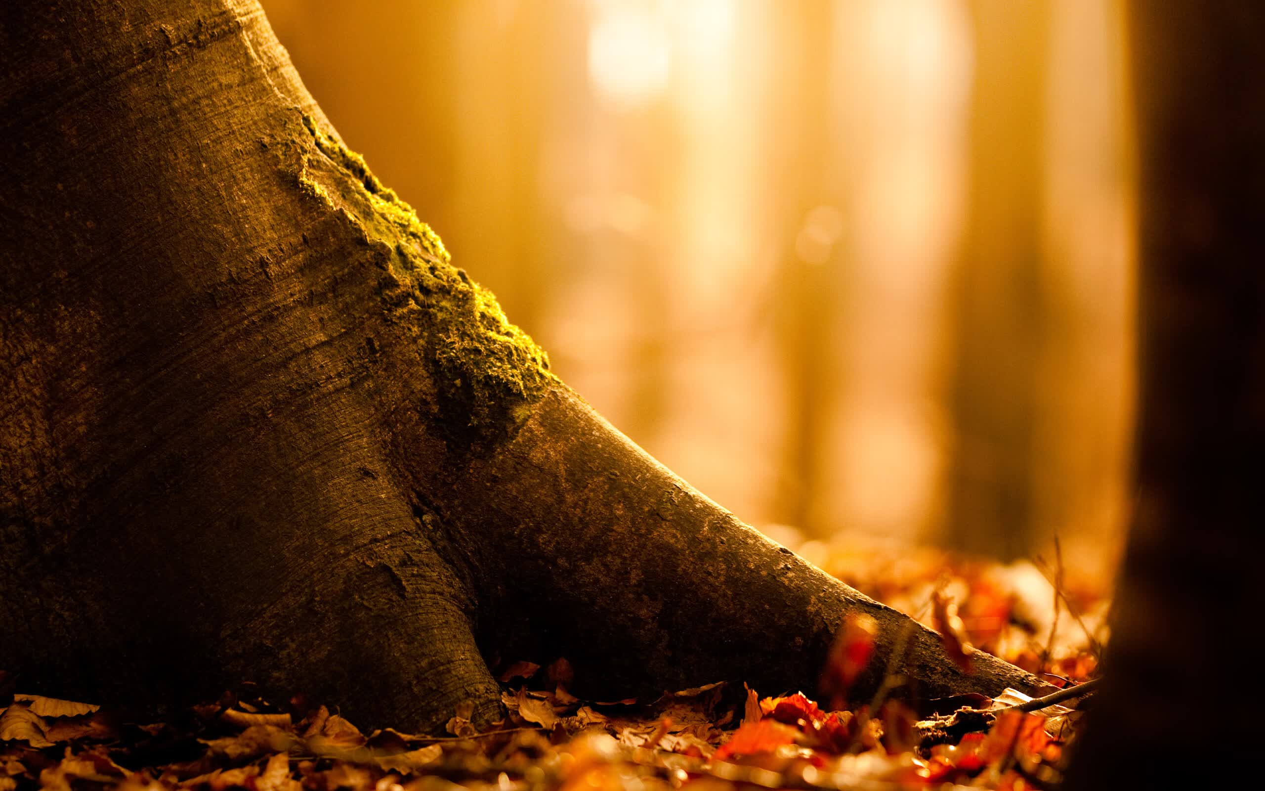 世界自行车公开赛:团队配合推动赛段节奏,世界自行车比赛在哪里举行